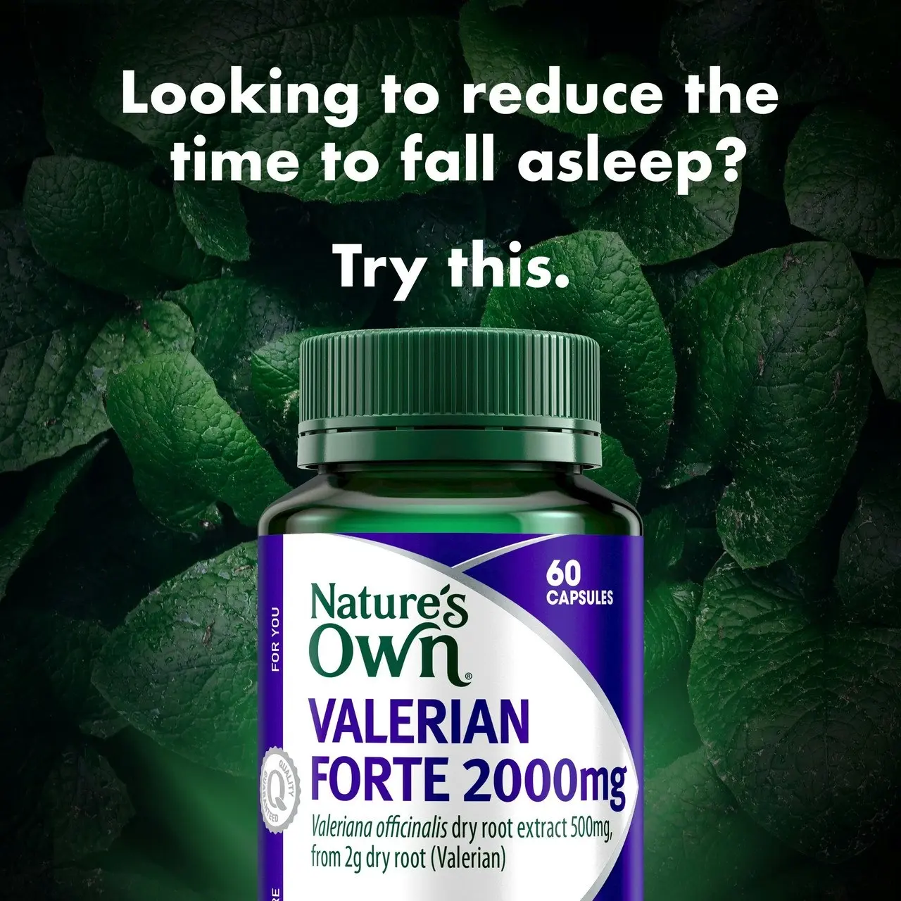 Nature's Own Valerian Forte 2000mg