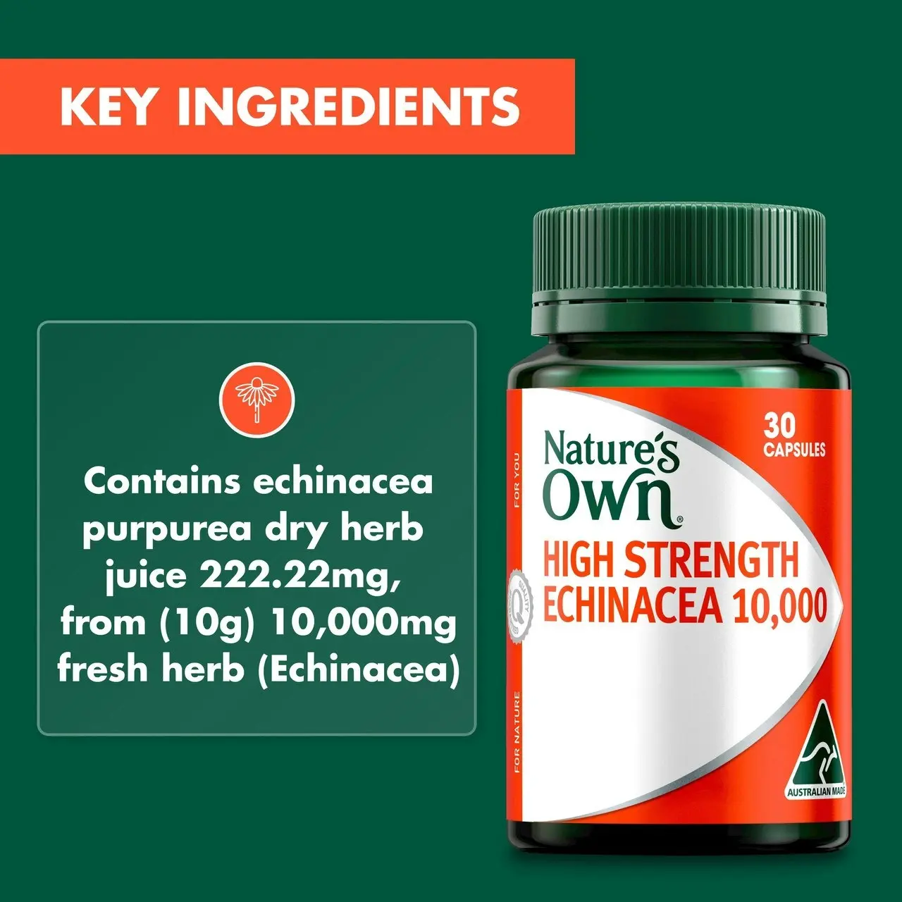 Nature's Own High Strength Echinacea 10,000