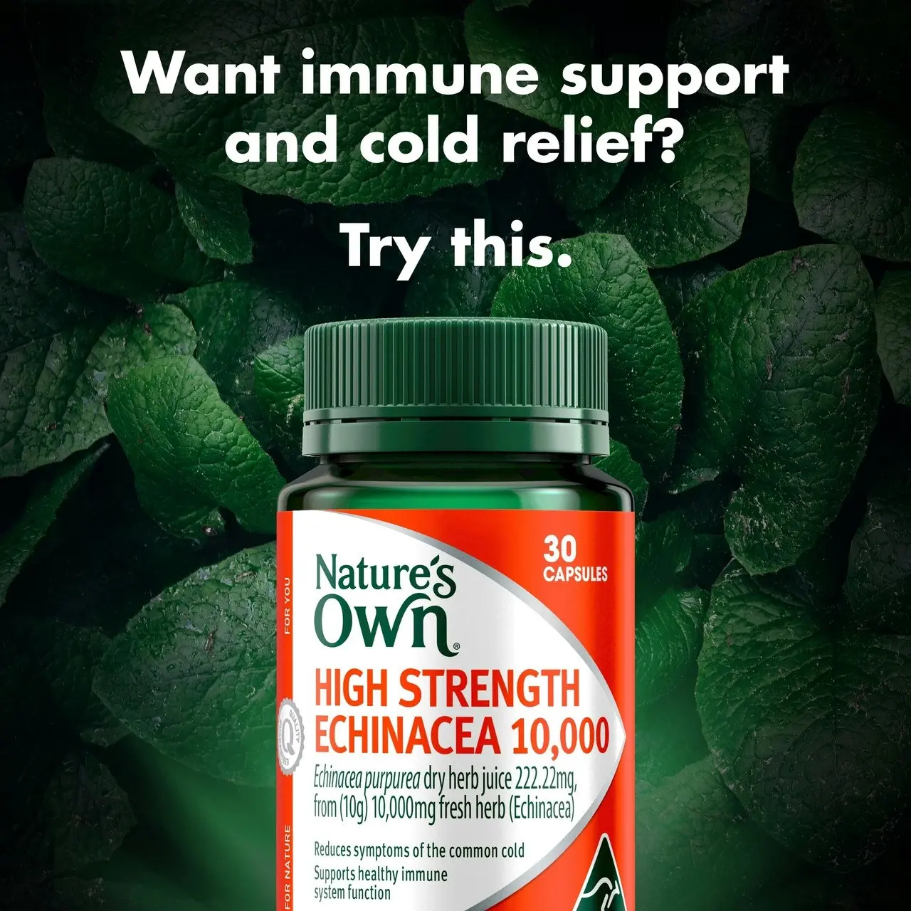 Nature's Own High Strength Echinacea 10,000