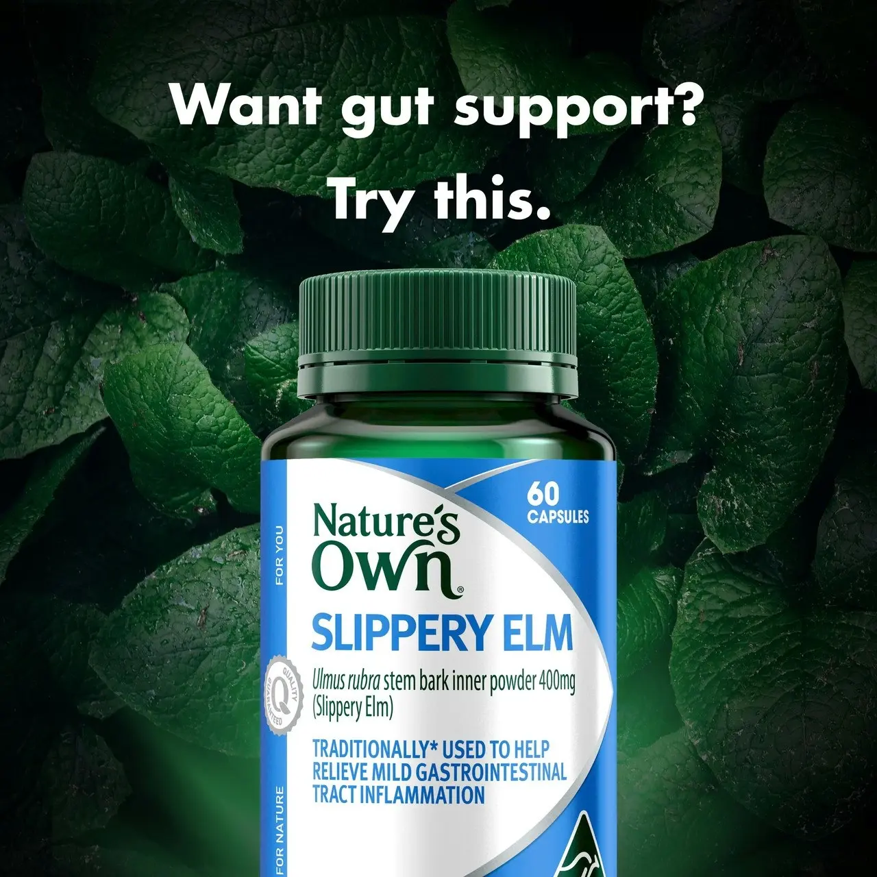 Nature's Own Slippery Elm 400mg