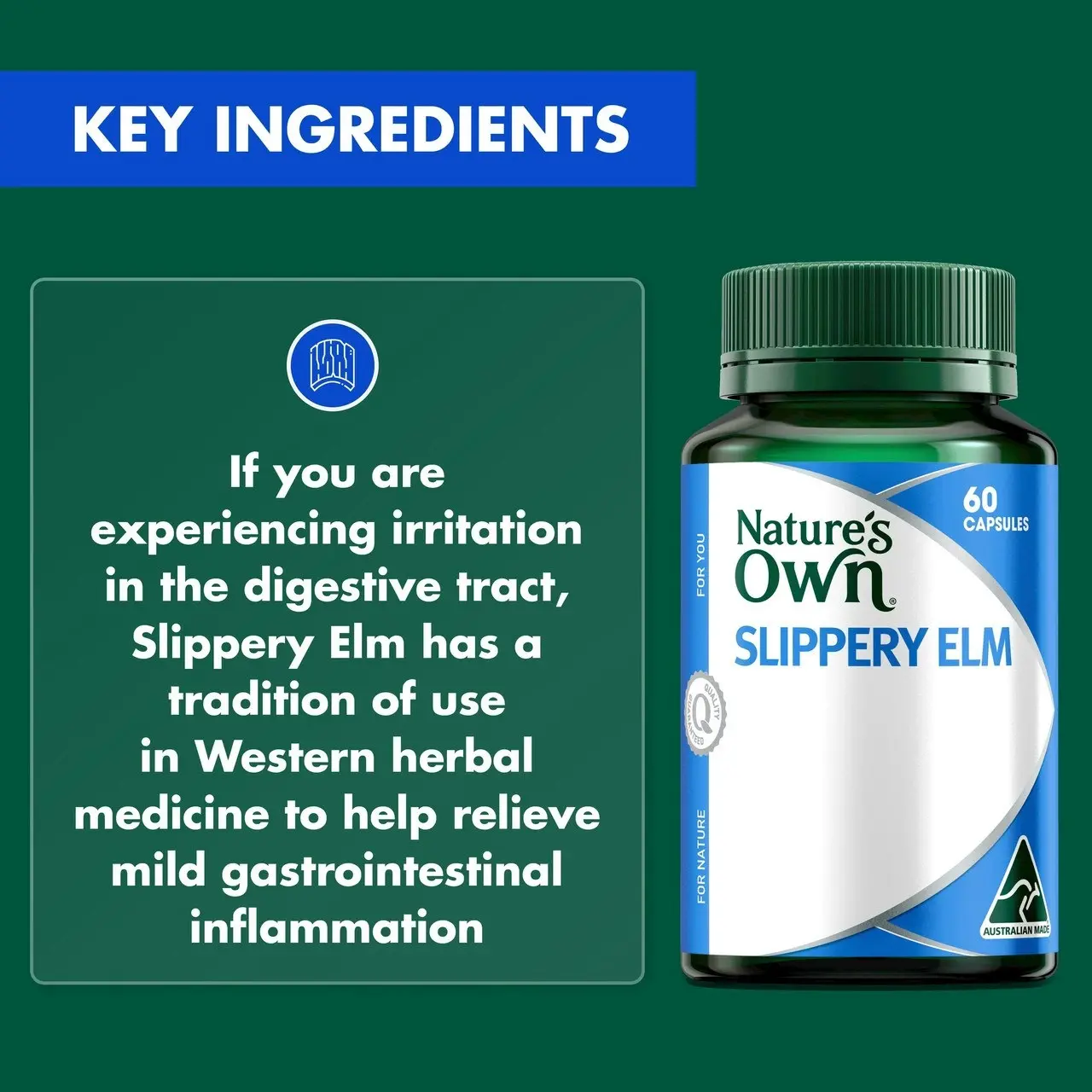 Nature's Own Slippery Elm 400mg