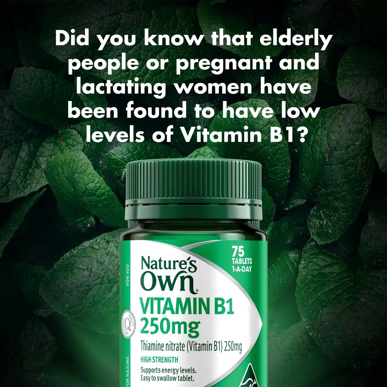 Nature's Own Vitamin B1  250mg