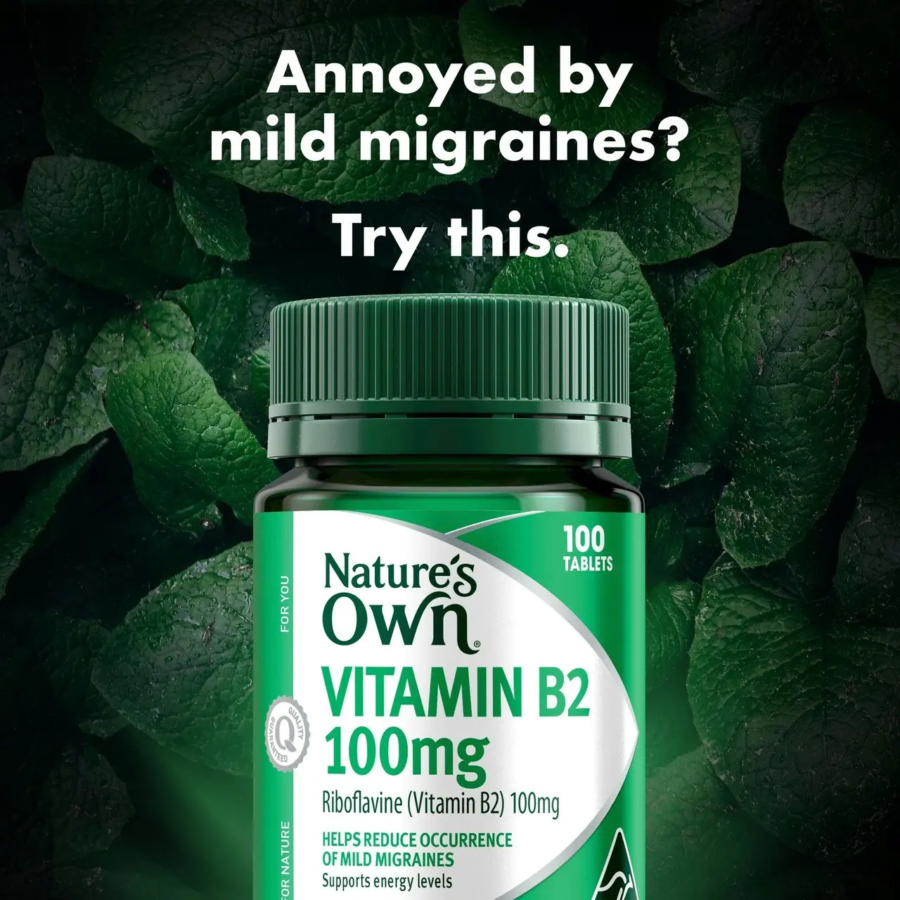 Nature's Own Vitamin B2 100mg