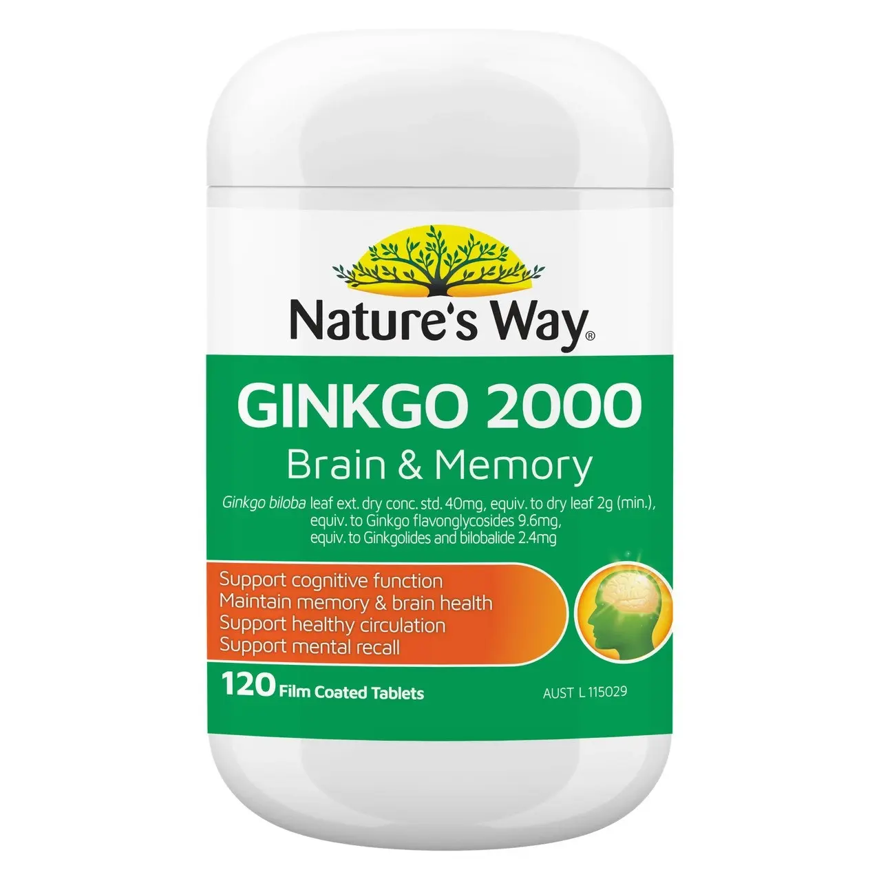 Nature's Way Ginkgo 2000 Brain & Memory Tablets 120