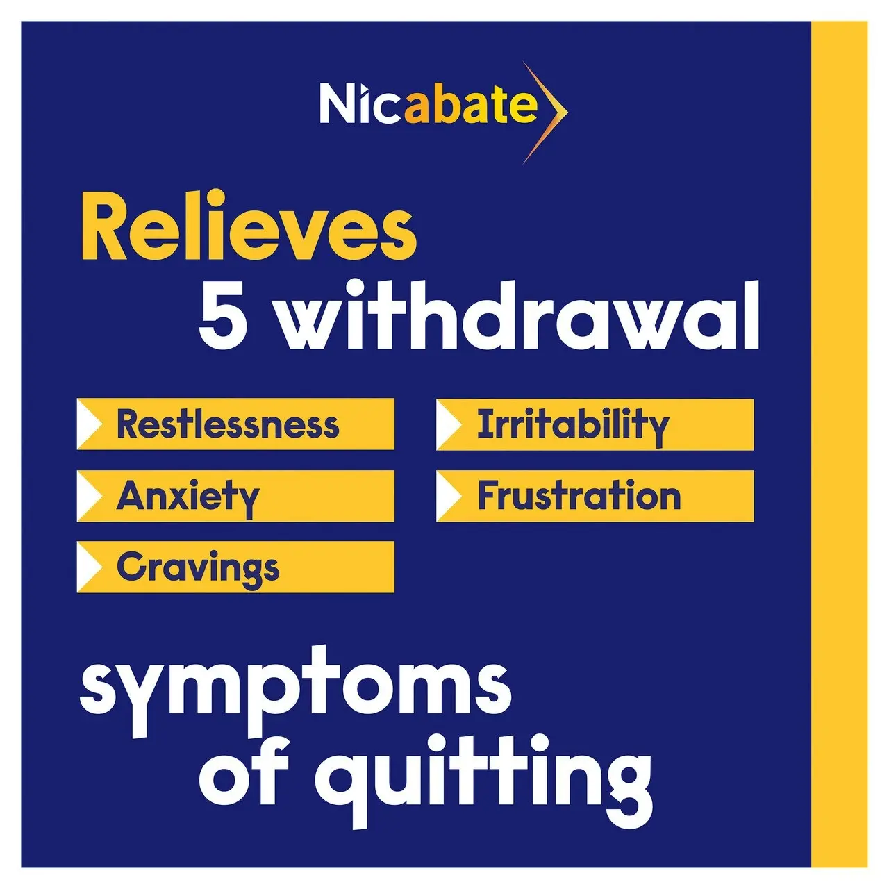 Nicabate Gum Nicotine 2mg Regular Strength Extra Fresh Mint 200 Pack