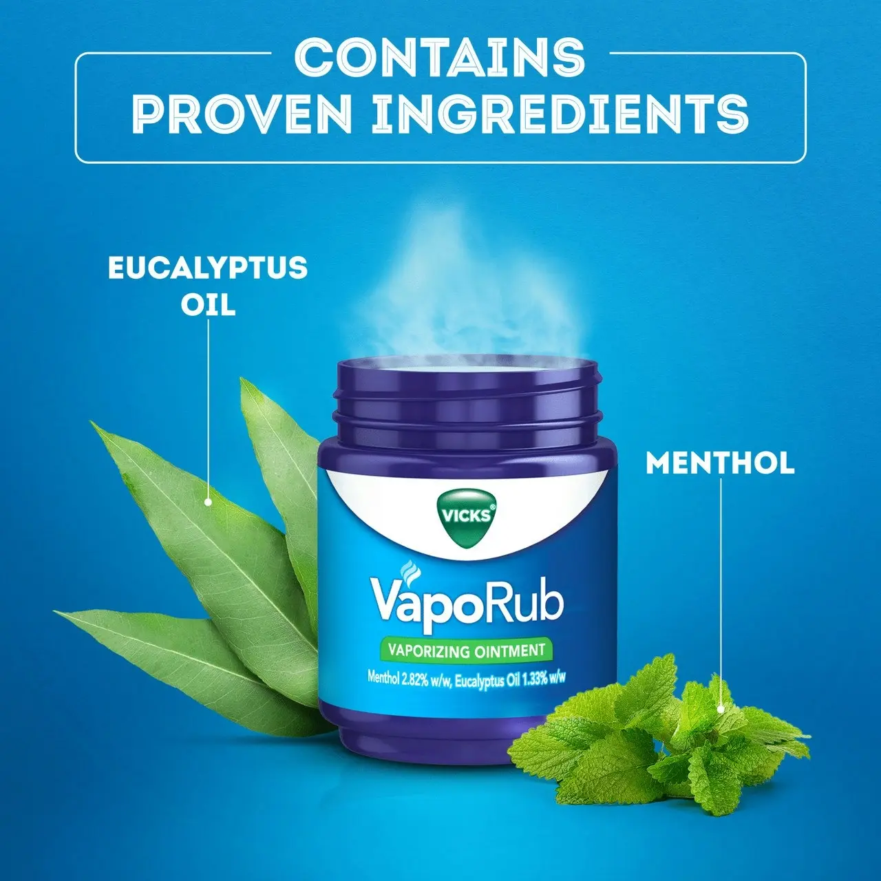 Vicks VapoRub Vaporizing Ointment Relief from Cough & Cold Symptoms 100g - Cough & Cold