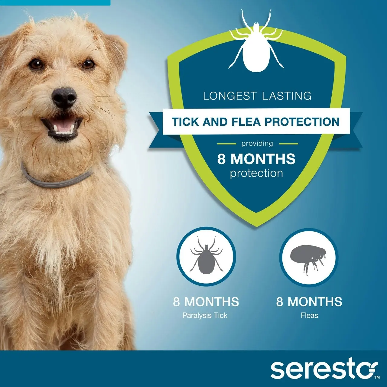 Seresto(TM) Flea & Tick Collar for Dogs And Puppies Up To 8kg - 1 Pack