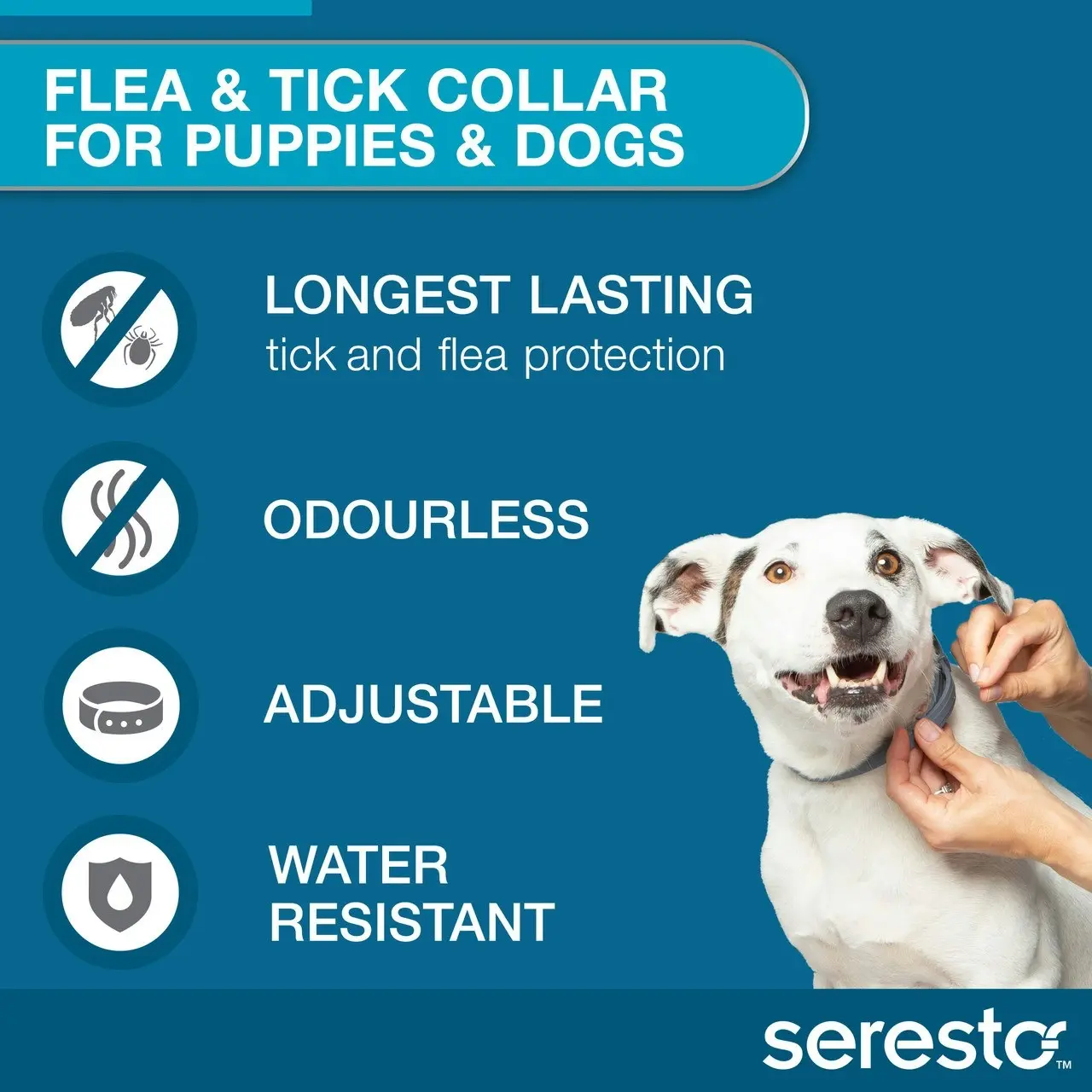 Seresto(TM) Flea & Tick Collar for Dogs And Puppies Up To 8kg - 1 Pack