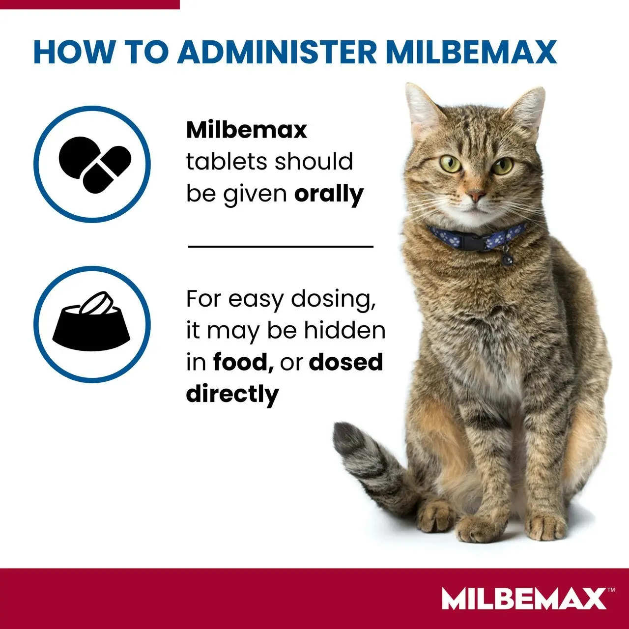 Milbemax(TM) Allwormer Tablet for Cats 2 - 8kg - 2 Pack