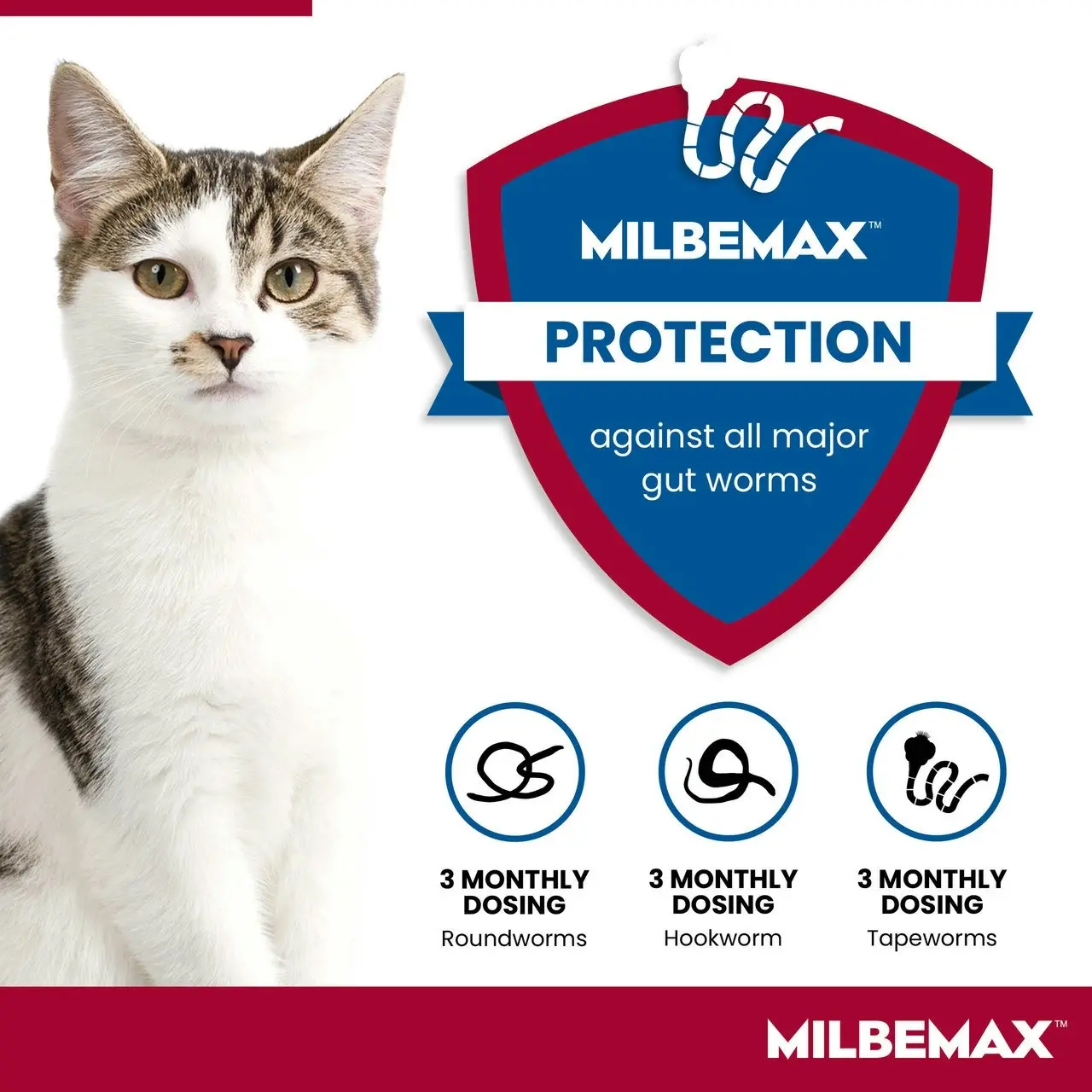 Milbemax(TM) Allwormer Tablet for Cats 2 - 8kg - 2 Pack