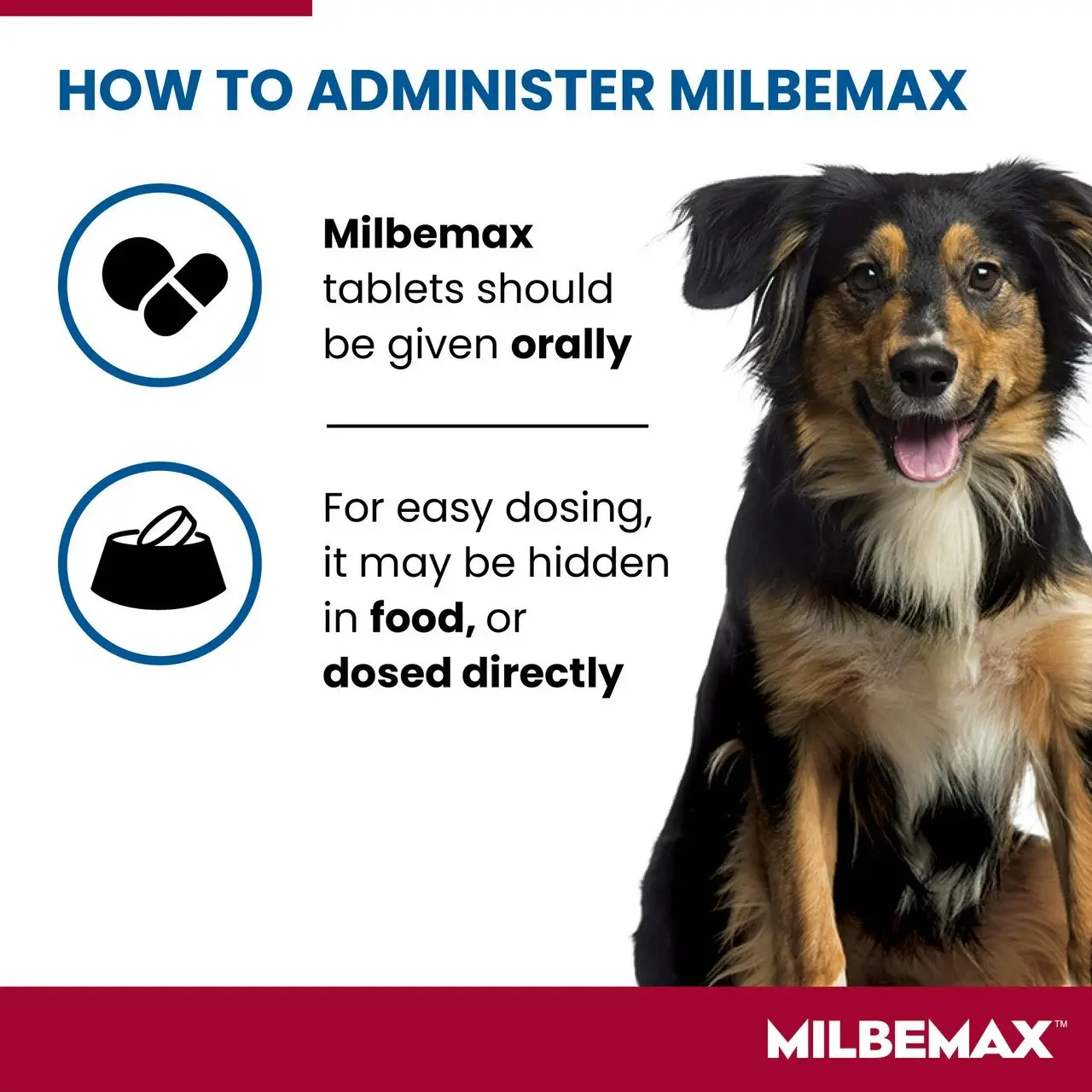 Milbemax(TM) Allwormer Tablet for Dogs 5 - 25kg - 2 Pack