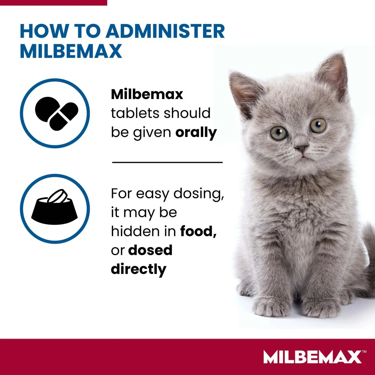 Milbemax(TM) Allwormer Tablet for Small Cats 0.5 - 2kg - 2 Pack