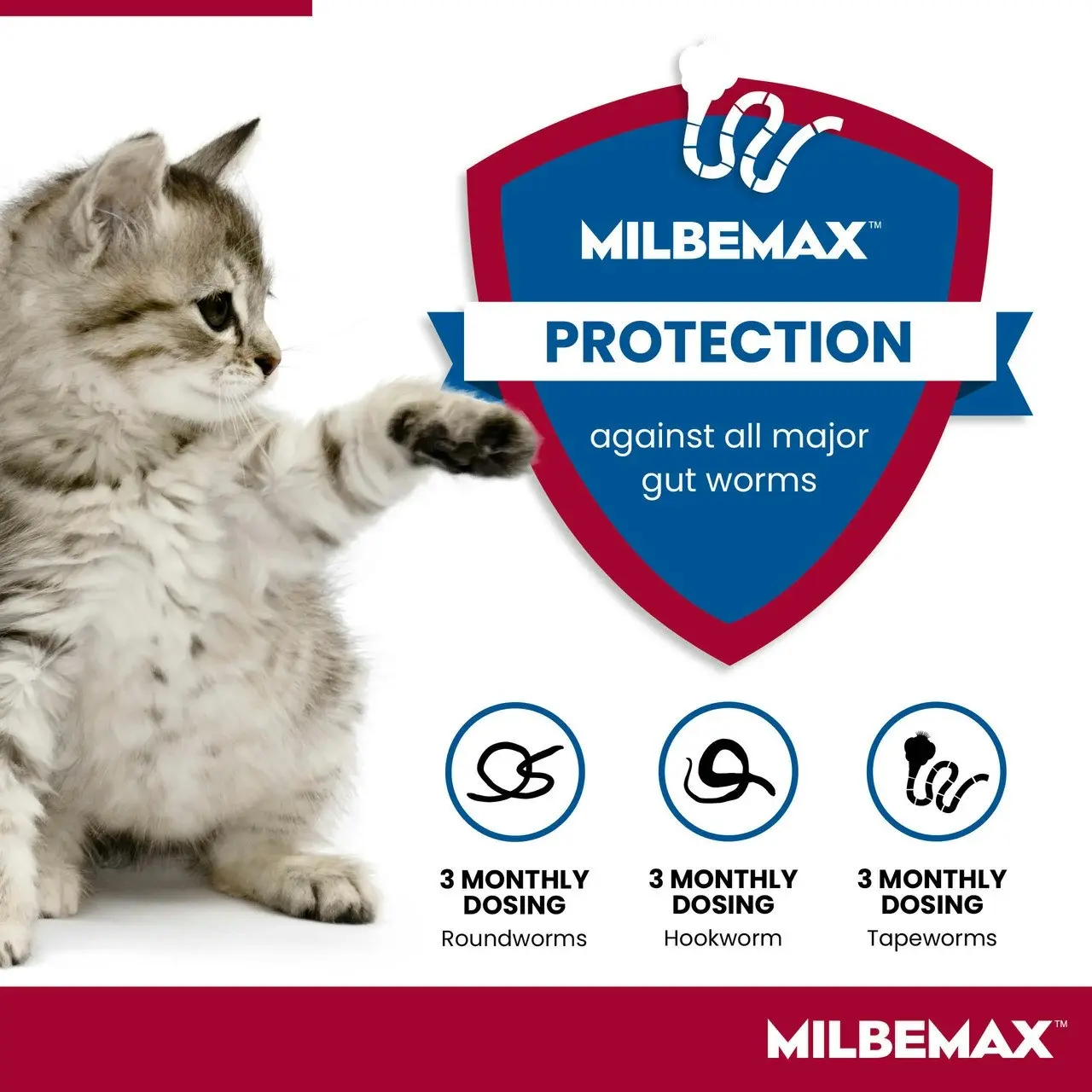 Milbemax(TM) Allwormer Tablet for Small Cats 0.5 - 2kg - 2 Pack