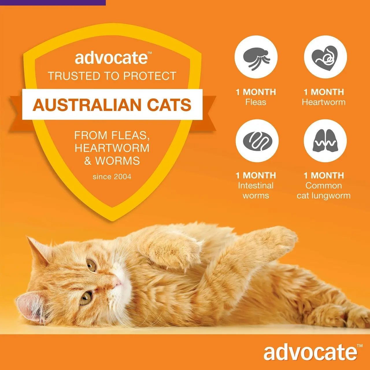 Advocate(TM) Fleas, Heartworm & Worms for Cats Over 4kg - 6 Pack