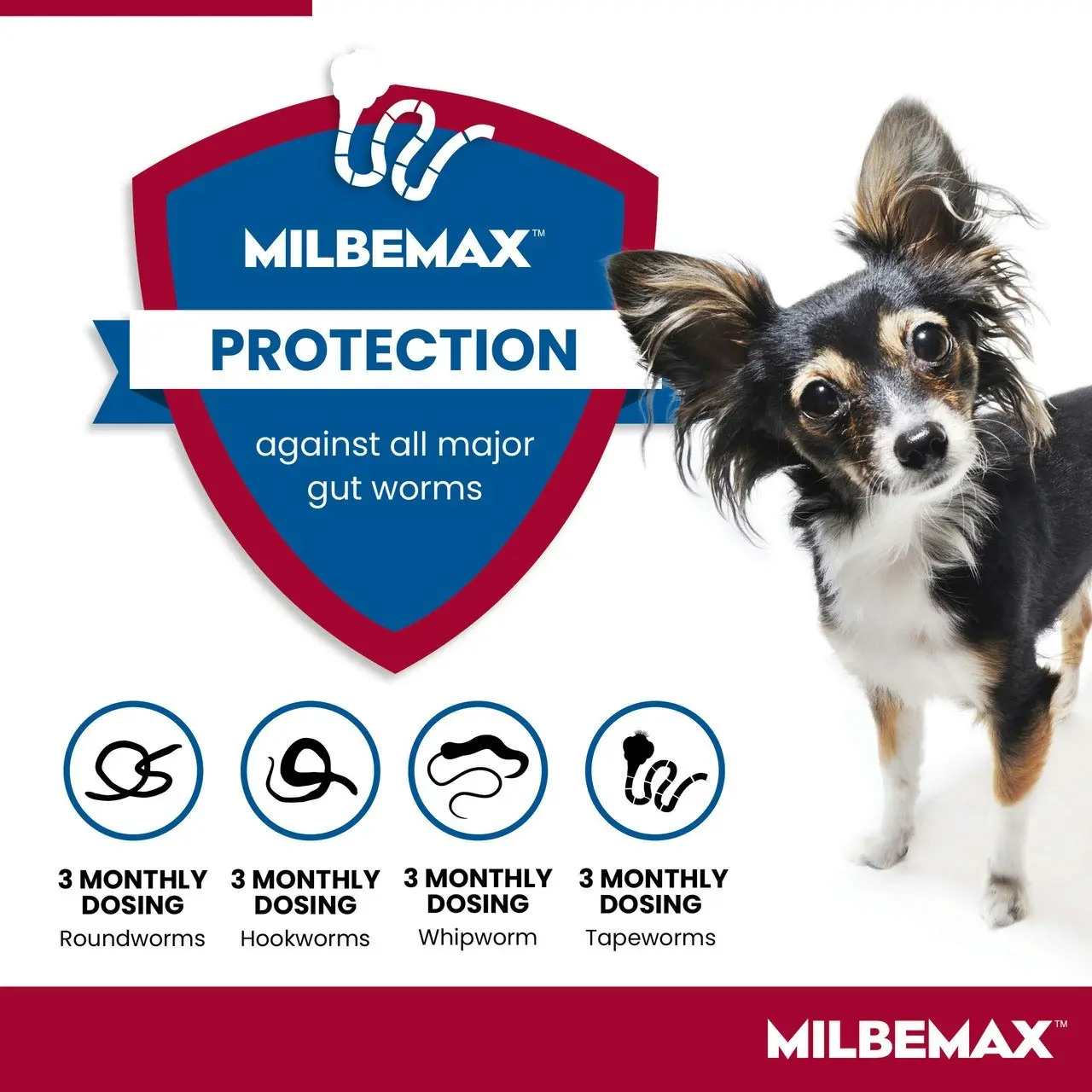 Milbemax(TM) Allwormer Tablet for Small Dogs & Puppies 0.5 - 5kg - 2 Pack