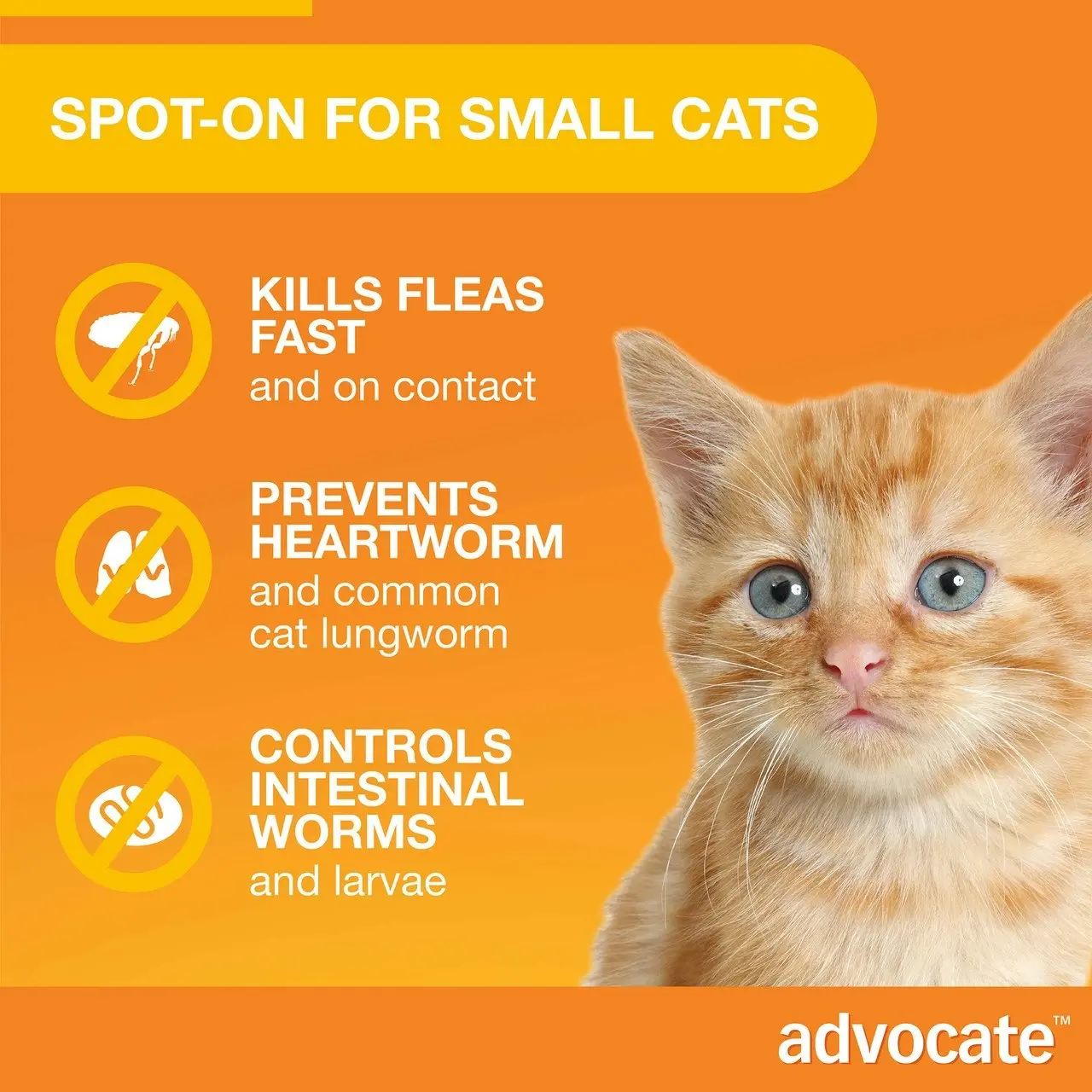 Advocate(TM) Fleas, Heartworm & Worms for Kittens & Small Cats up to 4kg - 3 Pack