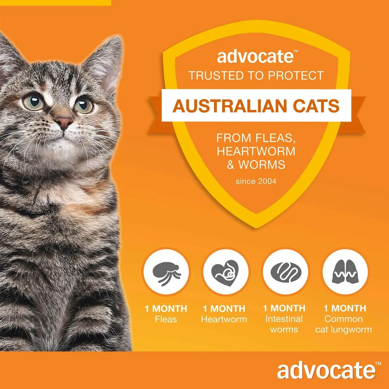 Advocate(TM) Fleas, Heartworm & Worms for Kittens & Small Cats up to 4kg - 3 Pack