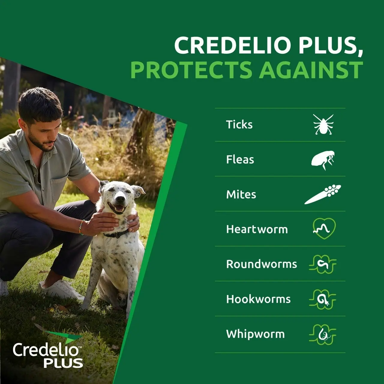 Credelio(TM) PLUS Ticks, Fleas, Mites, Heartworm & Worms for Small Dogs 2.8 - 5.5 kg - 3 Pack