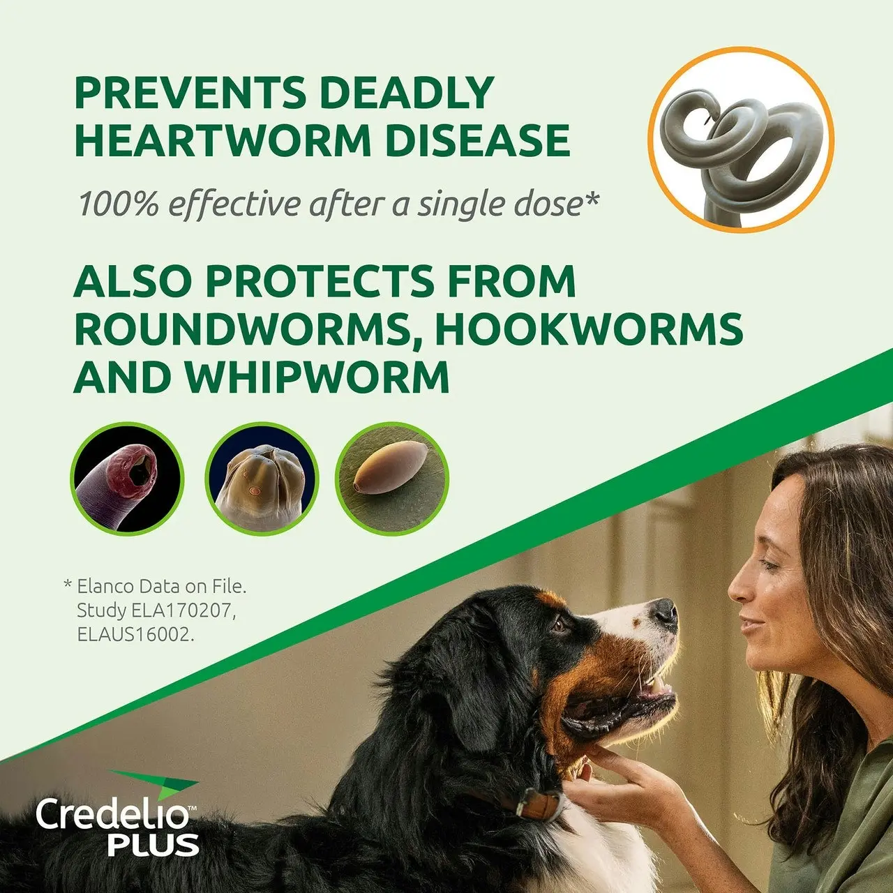 Credelio(TM) PLUS Ticks, Fleas, Mites, Heartworm & Worms for Small Dogs 2.8 - 5.5 kg - 3 Pack