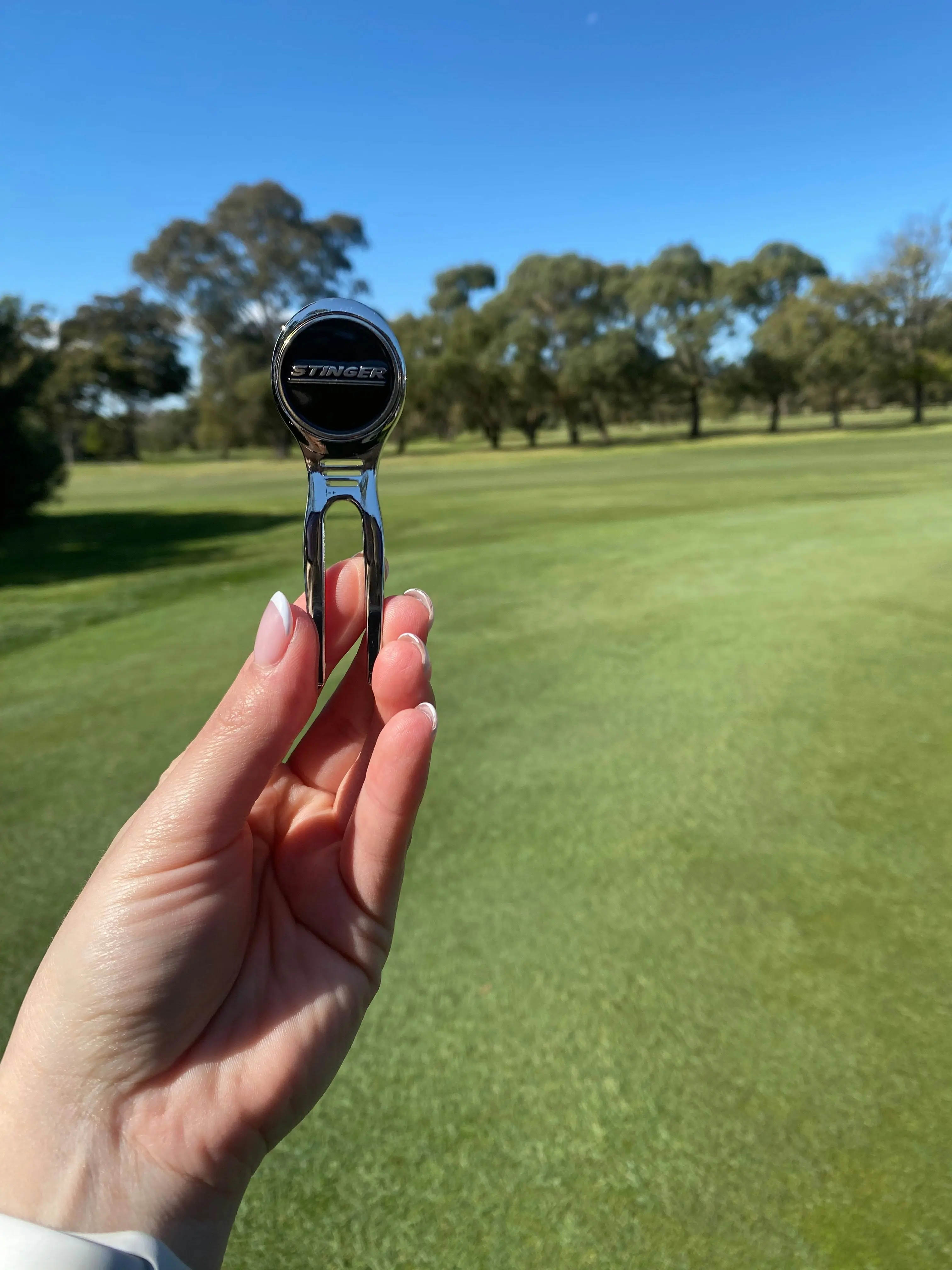 Stinger Chrome Divot Tool