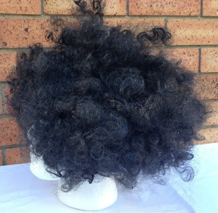 DELUXE AFRO WIG Curly Hair Costume Party Fancy Disco Circus 70s 80s Dress Up