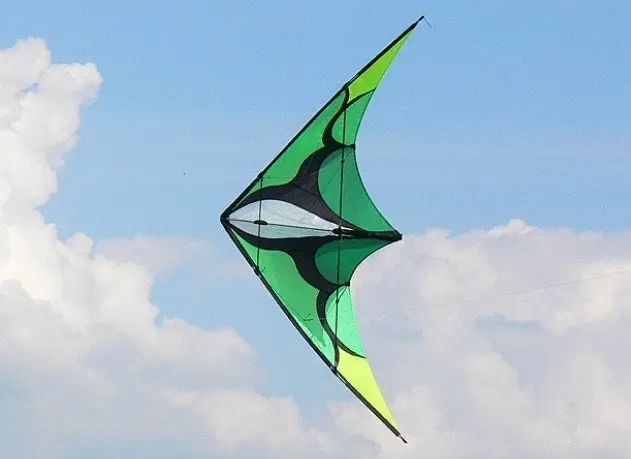 Stunt Kite Green