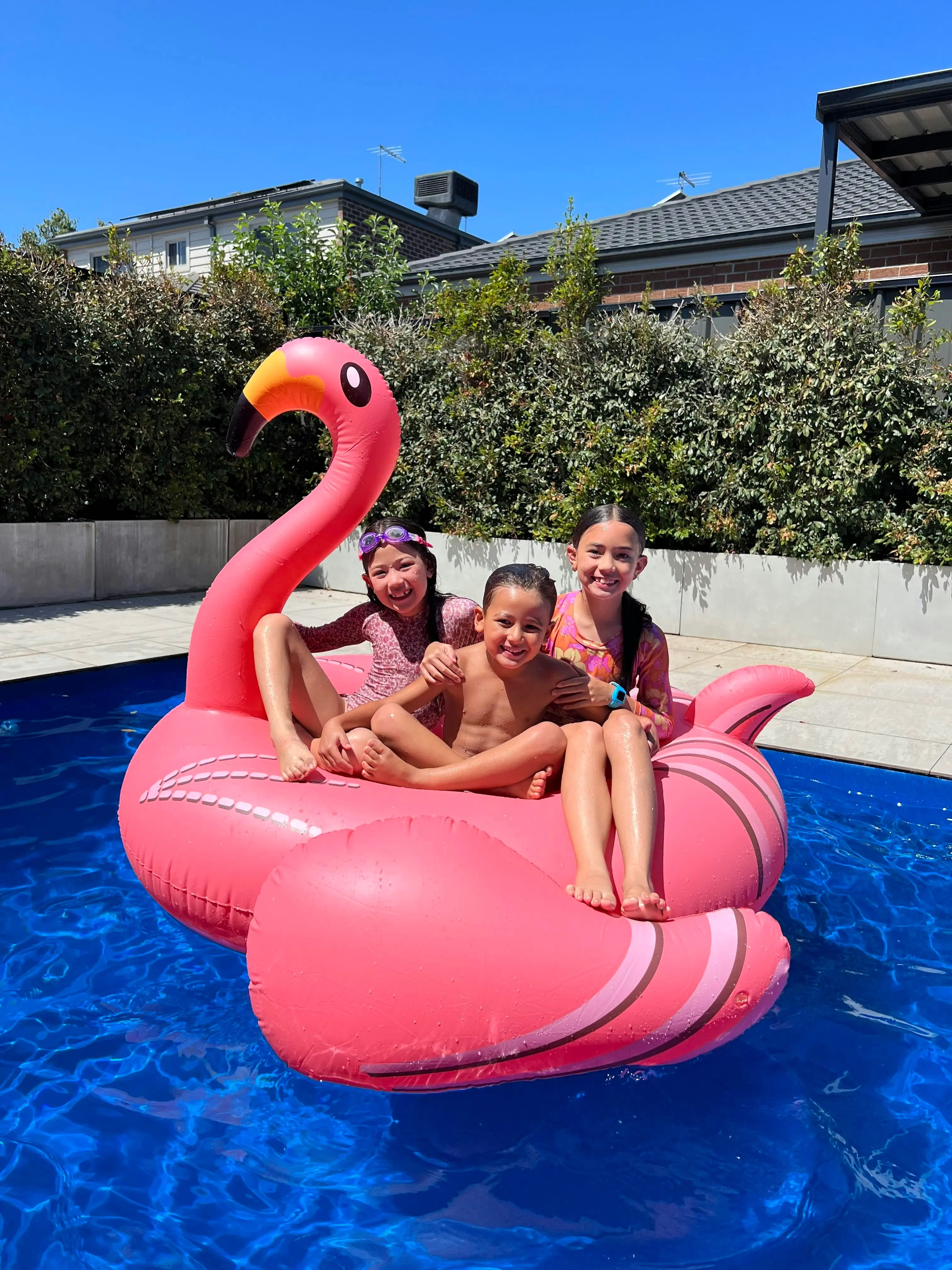 Giant PVC Inflatable Flamingo Pool Toy Float Pink