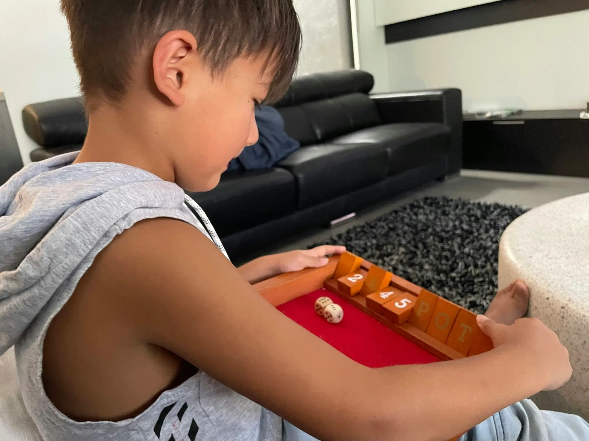 Jackpot /Shut The Box Board Game