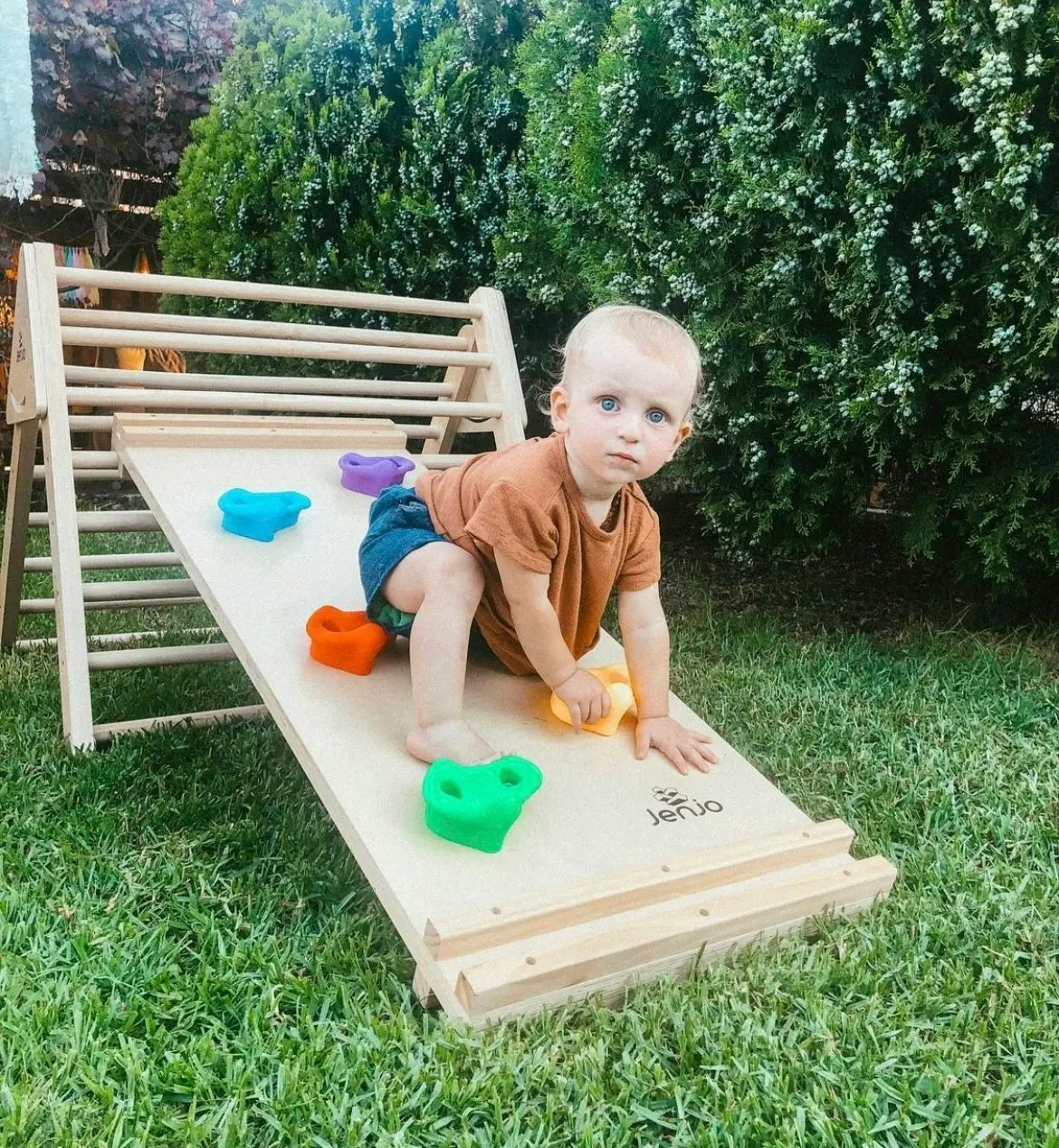 Rock Climbing Frame and Slide