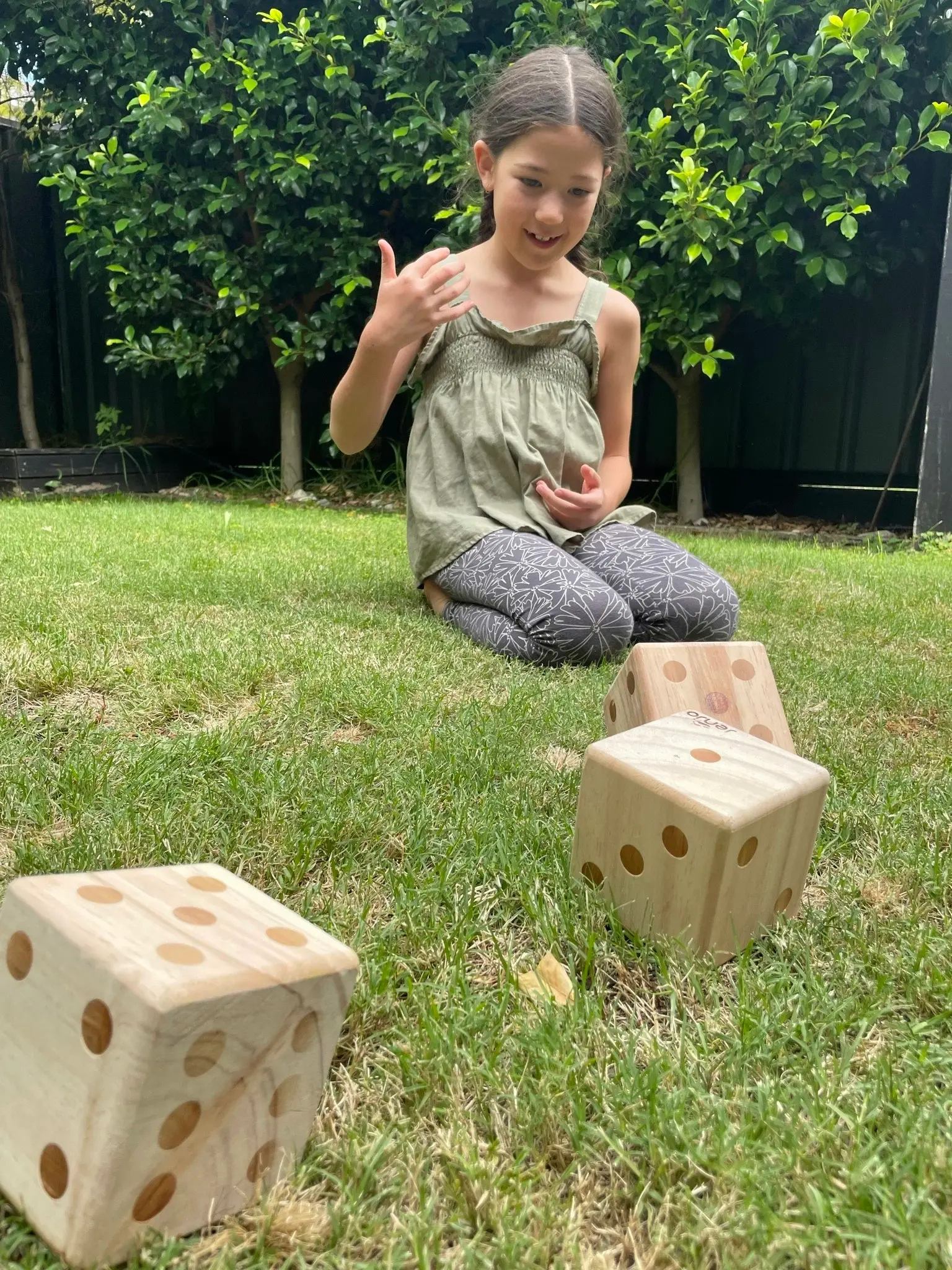 Wooden Dice Set 9cm Diameter With Scorecard Book