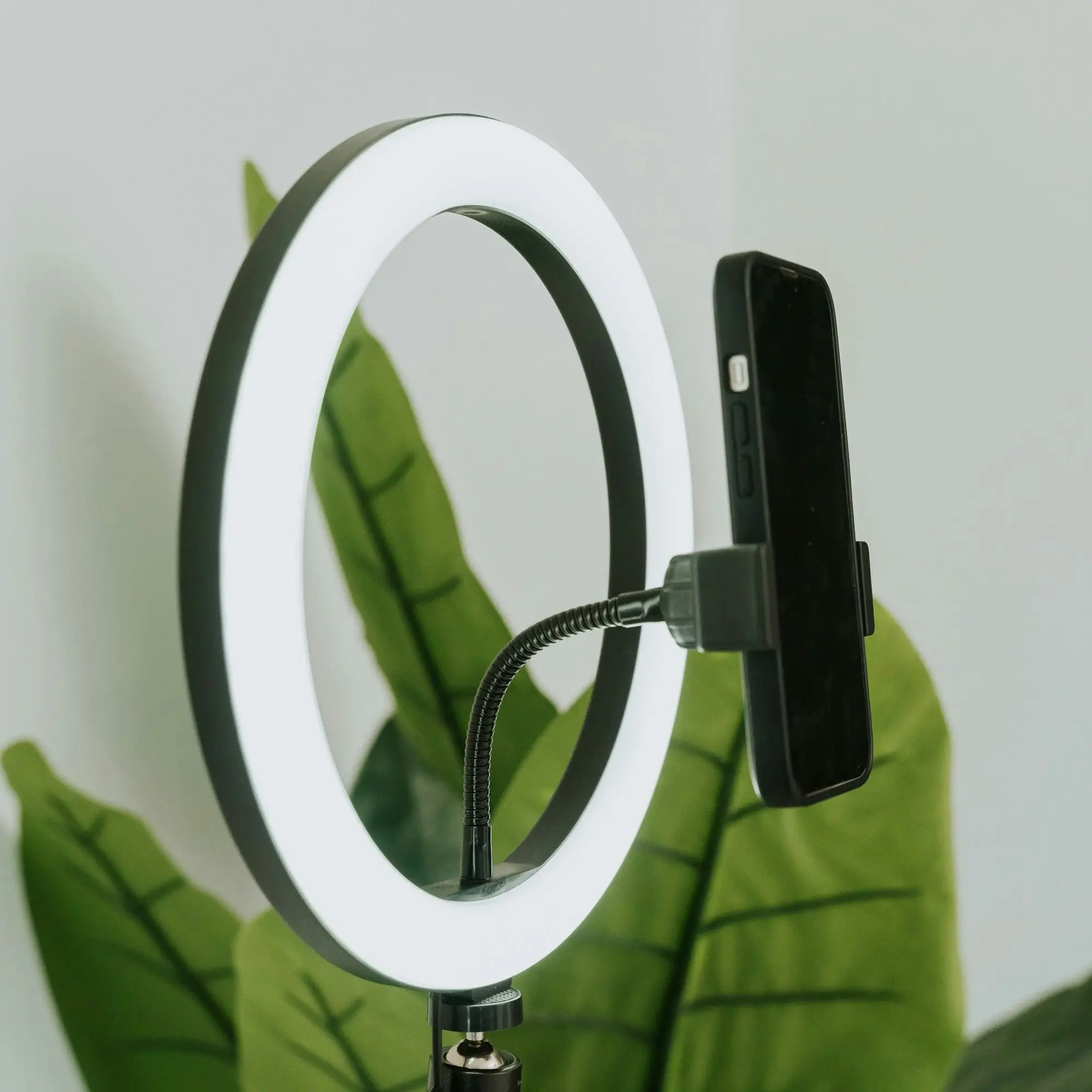 26cm Diameter LED Selfie Ring Light with Stand and Phone Holder 186cm Height