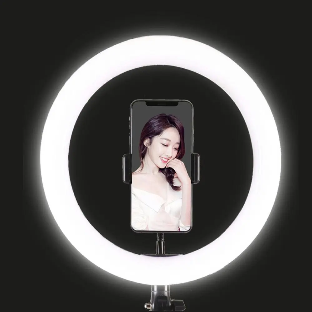 26cm Diameter LED Selfie Ring Light with Stand and Phone Holder 186cm Height