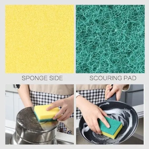 Sponge Scourers 10pk