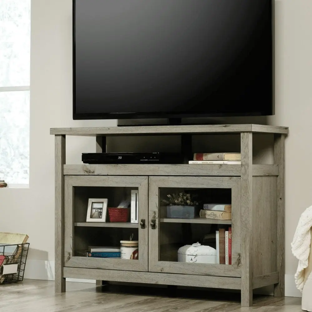 Design Square Emmalyn TV Stand Entertainment Unit W/ 2-Doors - Mystic Oak