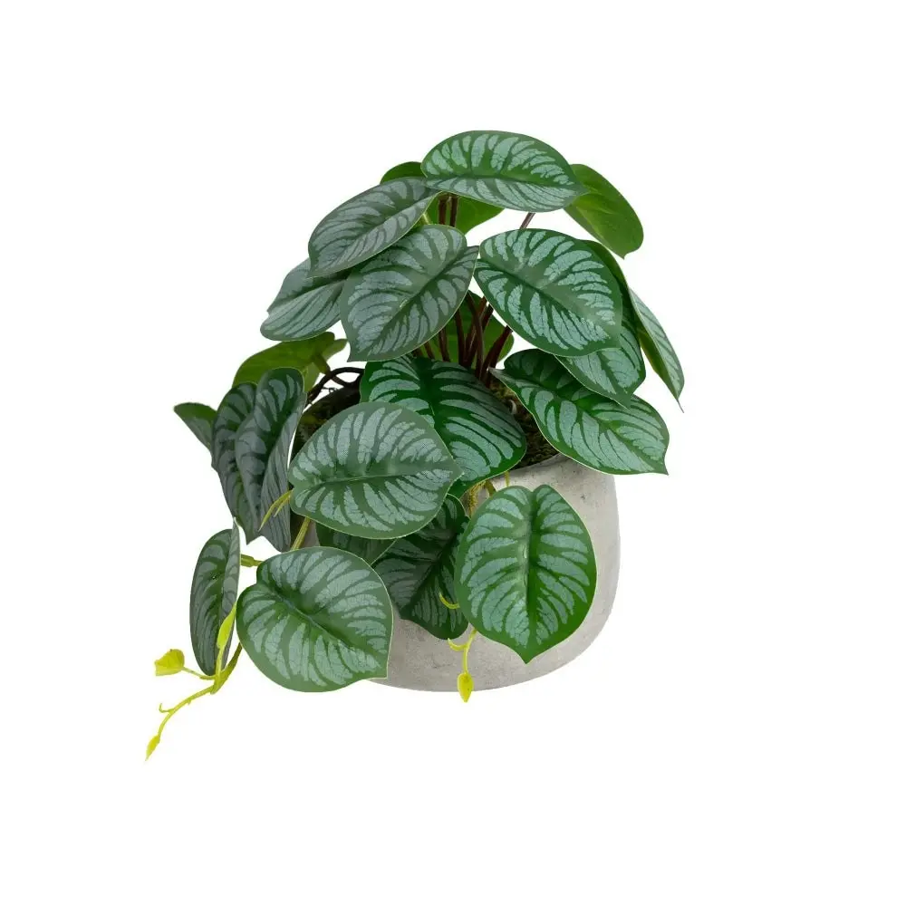 Glamorous Fusion Calathea Bush Artificial Faux Plant Decorative 17cm In Pot