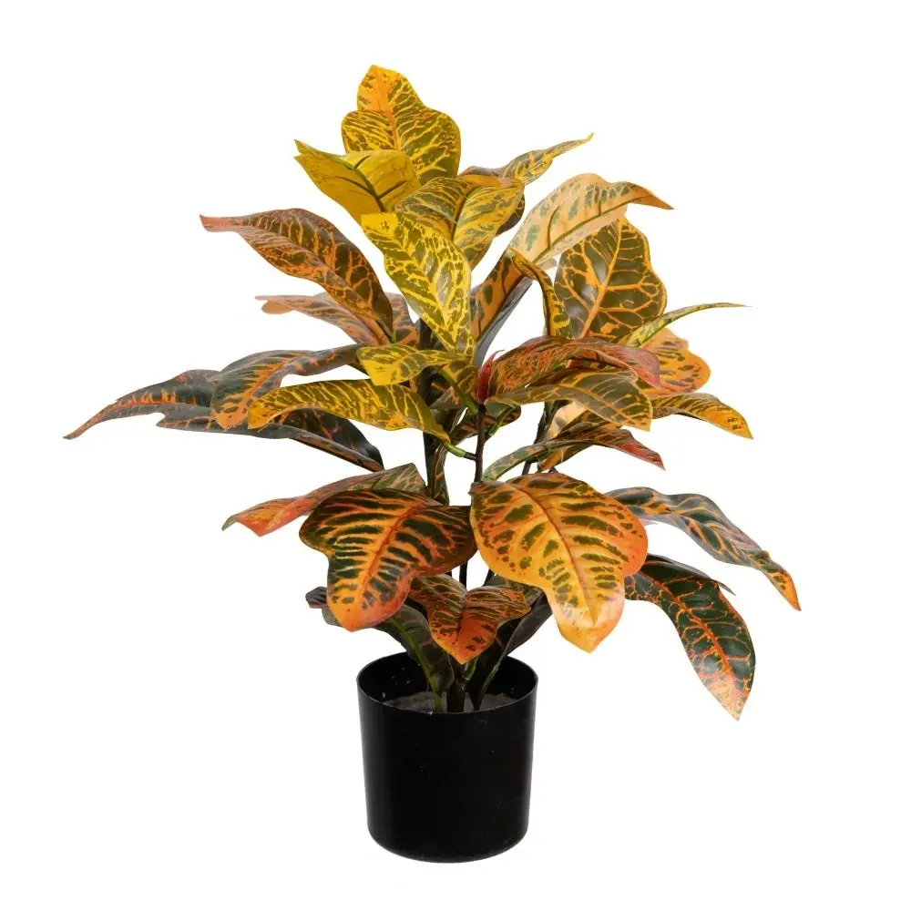 Glamorous Fusion Croton Plant Artificial Faux Plant Decorative 50cm