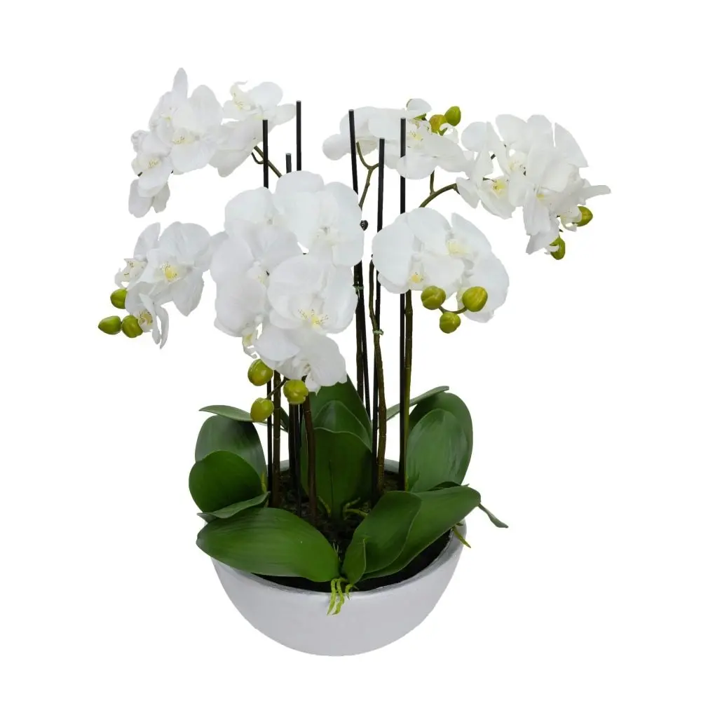 Glamorous Fusion Phalaenopsis Orchid Artificial Plant Flower Decorative 55cm Ceramic Pot - White