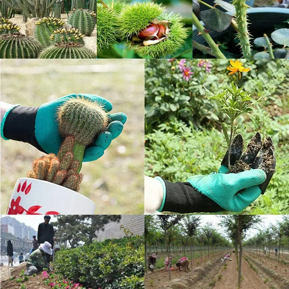 2 Pairs Garden Gloves With Claws For Digging ?And Planting