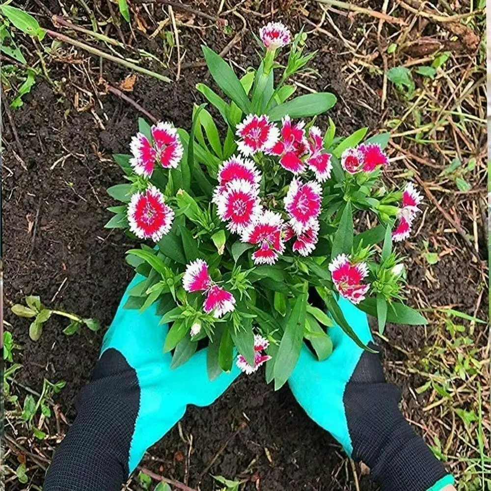 2 Pairs Garden Gloves With Claws For Digging ?And Planting