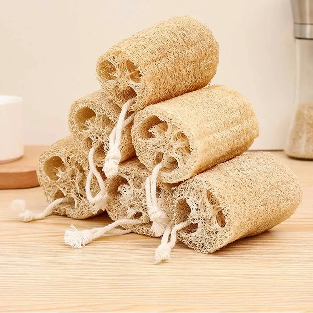 6 Pcs Loofah Cup Brush Dish Brush Pure Handmade Cup Brush Cleaning Brush