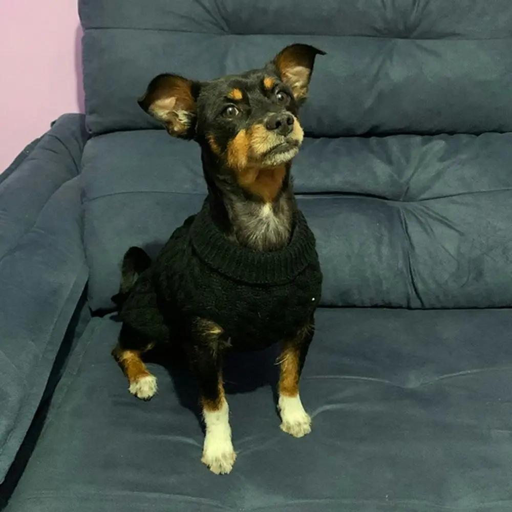 Puppy Sweaters Warm Pet Turtleneck Vest For Small Medium Dogs Cats-Black