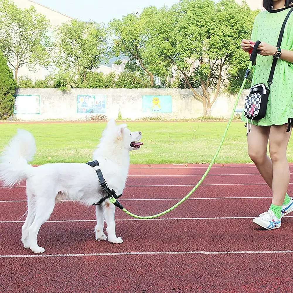 Strong Dog Leash Pet Leashes Reflective Leash For Small Medium Large Dog-Green