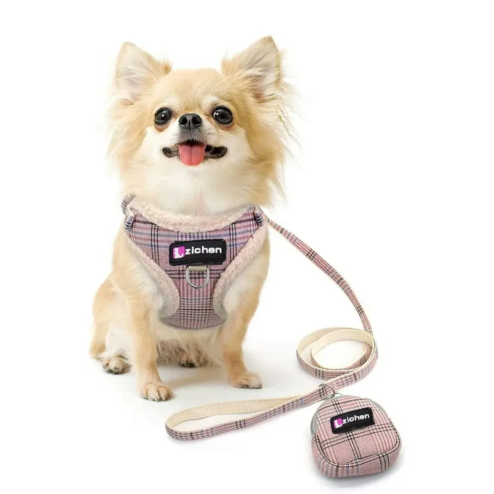 Dog Vest Harness and Leash Set With Cute Bags Breathable Mesh Dog Harness