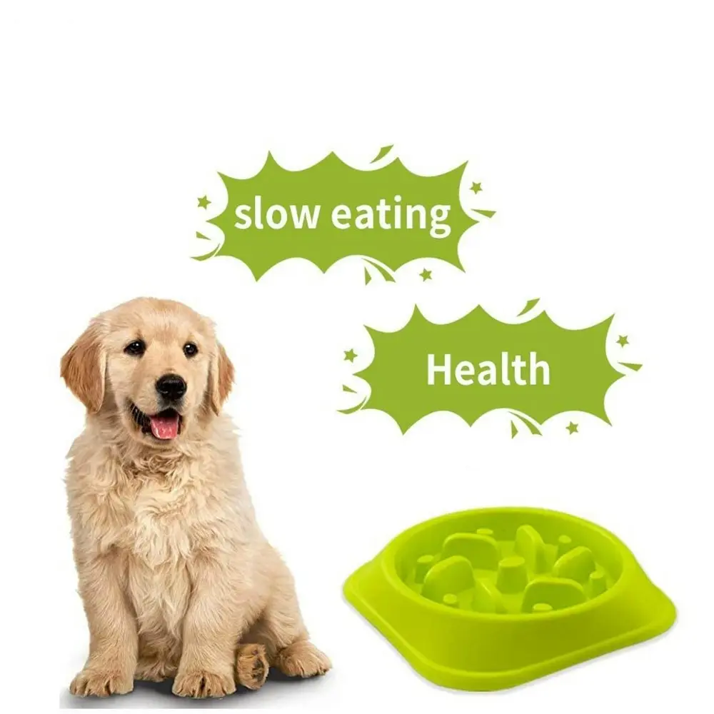 Dog Feeder Slow Eating Pet Bowl