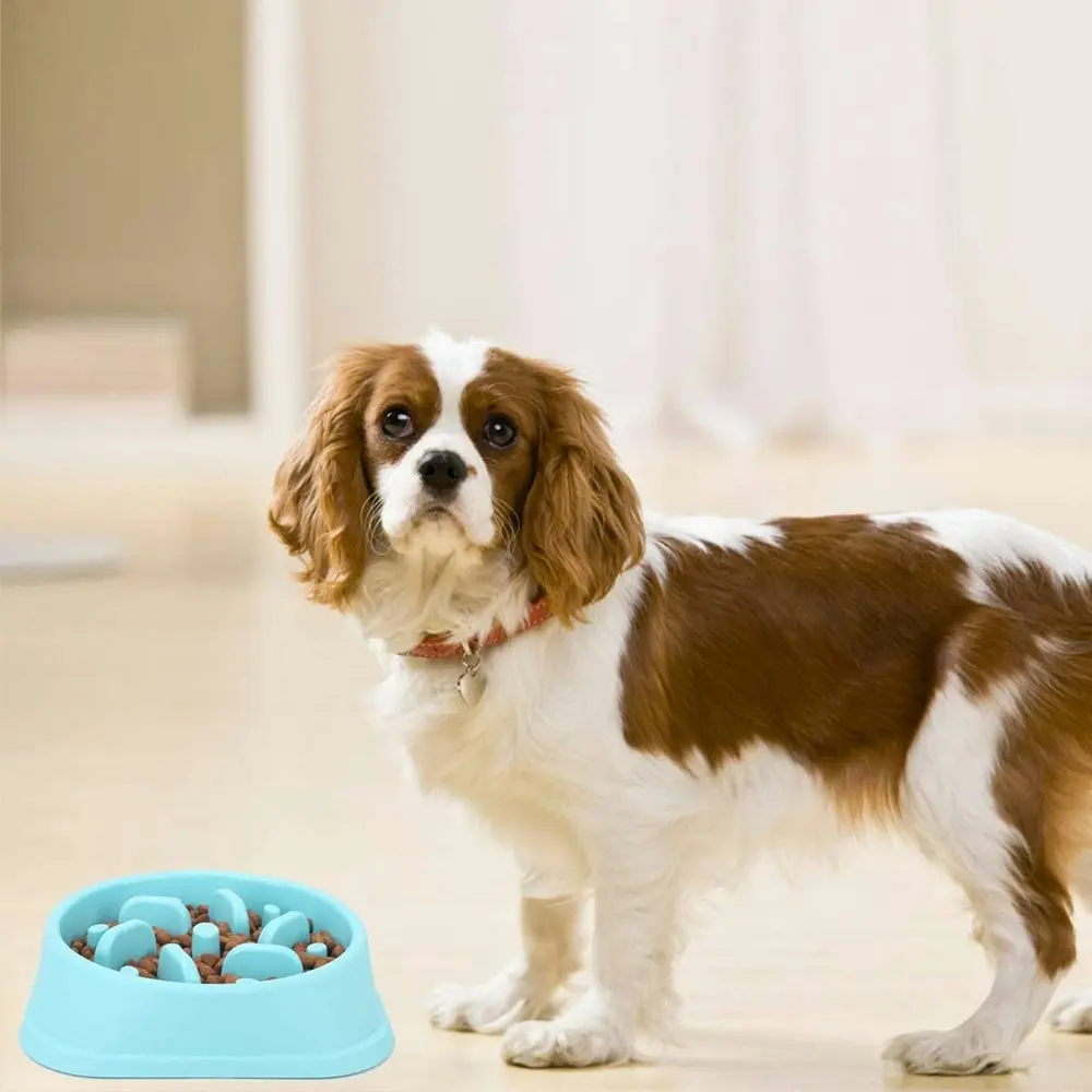 Dog Feeder Slow Eating Pet Bowl