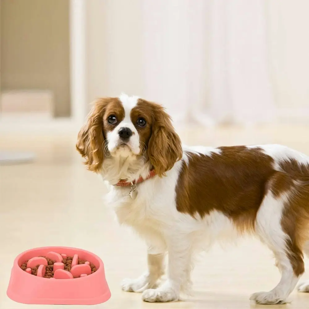 Dog Feeder Slow Eating Pet Bowl