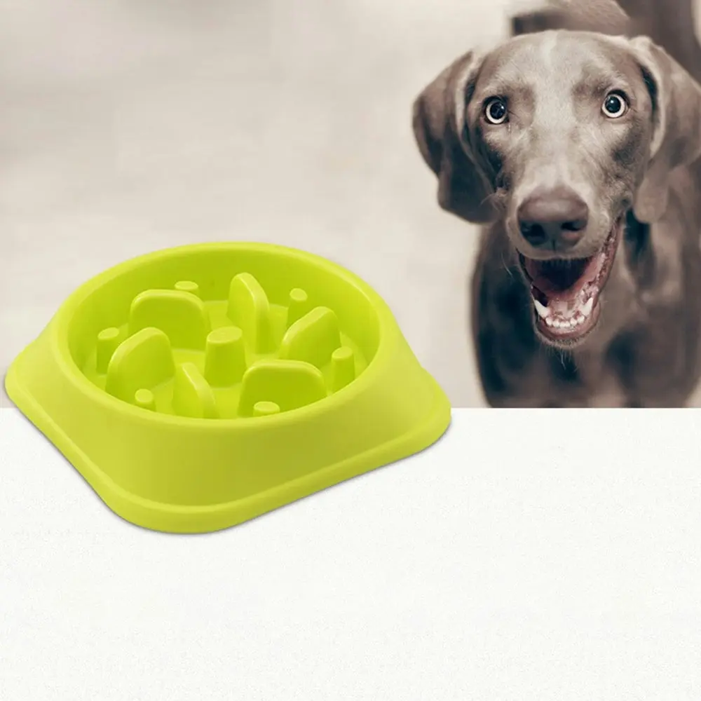 Dog Feeder Slow Eating Pet Bowl