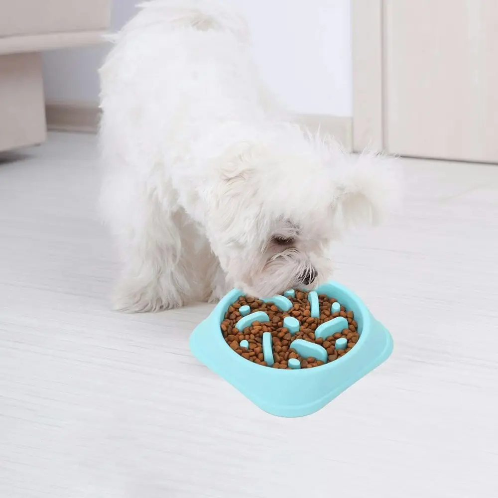 Dog Feeder Slow Eating Pet Bowl