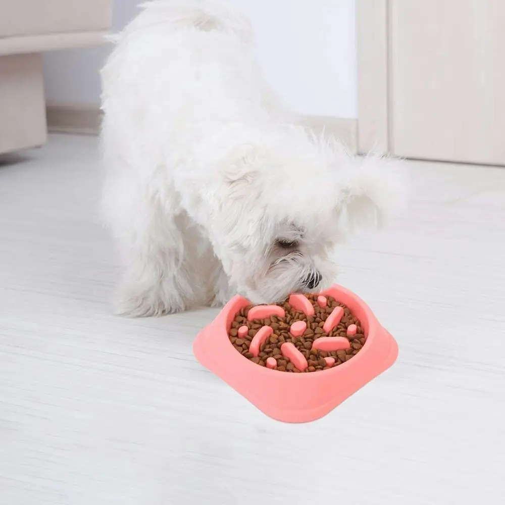 Dog Feeder Slow Eating Pet Bowl