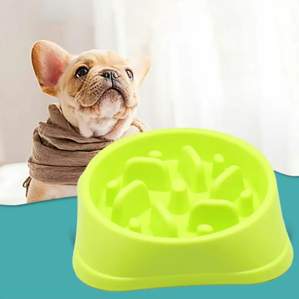 Dog Feeder Slow Eating Pet Bowl